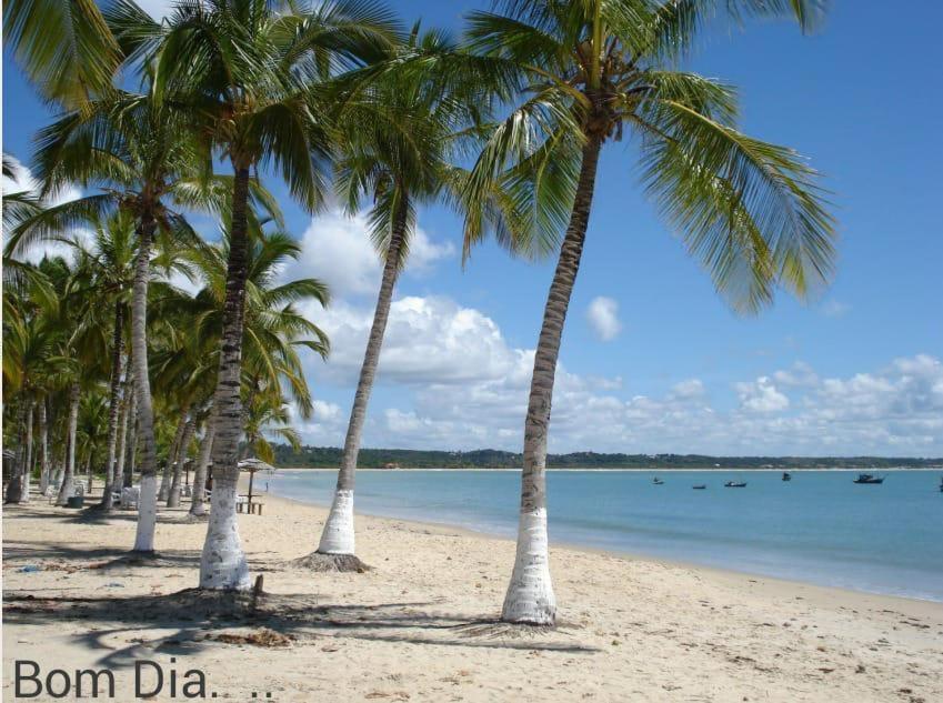 Praia Dos Corais Apt 24 Coroa Vermelha Ngoại thất bức ảnh
